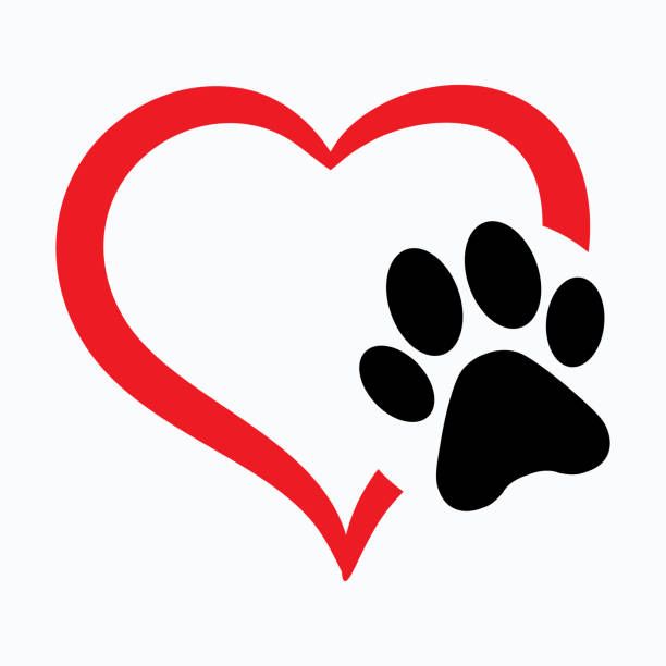 We still have 5 babies looking for their forever home!!